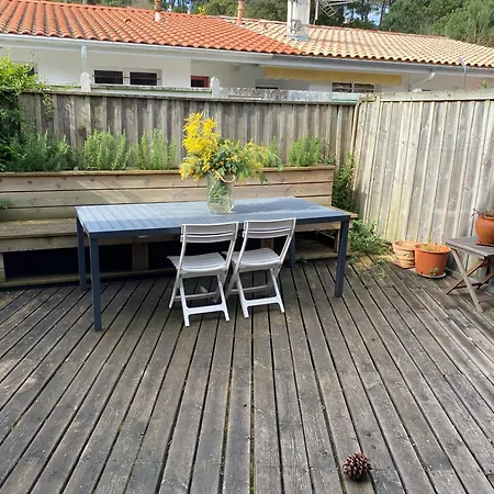 Piscine Cap Ferret 50m Du Bassin Et Des Commerces Apartment Lege-Cap-Ferret